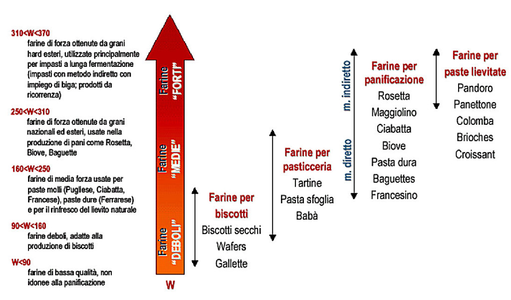 schema di riferimento forza della farina